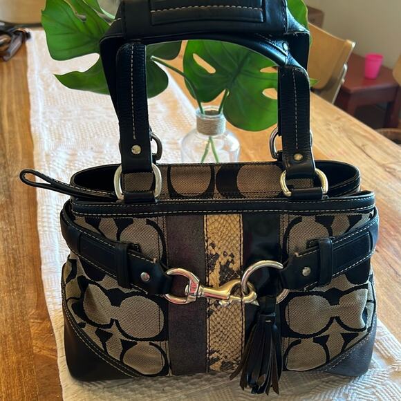 Coach Hampton snakeskin signature carryall - Picture 1 of 9